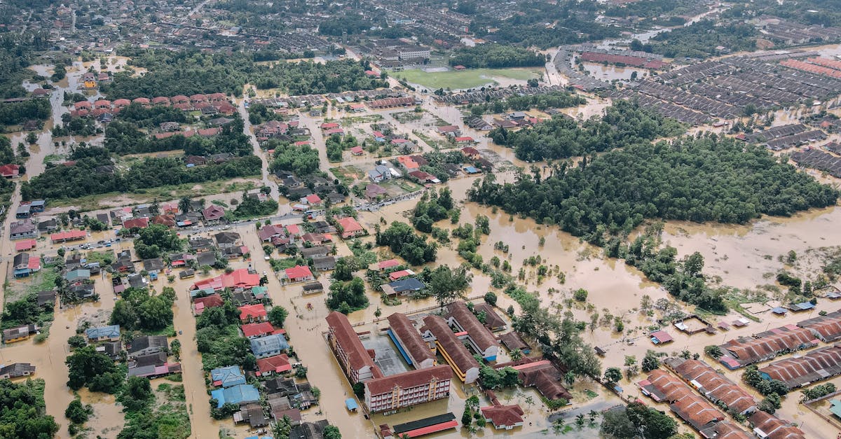 découvrez l'importance des inondations et des zones humides dans l'écosystème. apprenez comment elles influencent la biodiversité, la gestion de l'eau et les risques environnementaux. explorez les dynamiques naturelles et les défis auxquels ces paysages uniques font face.
