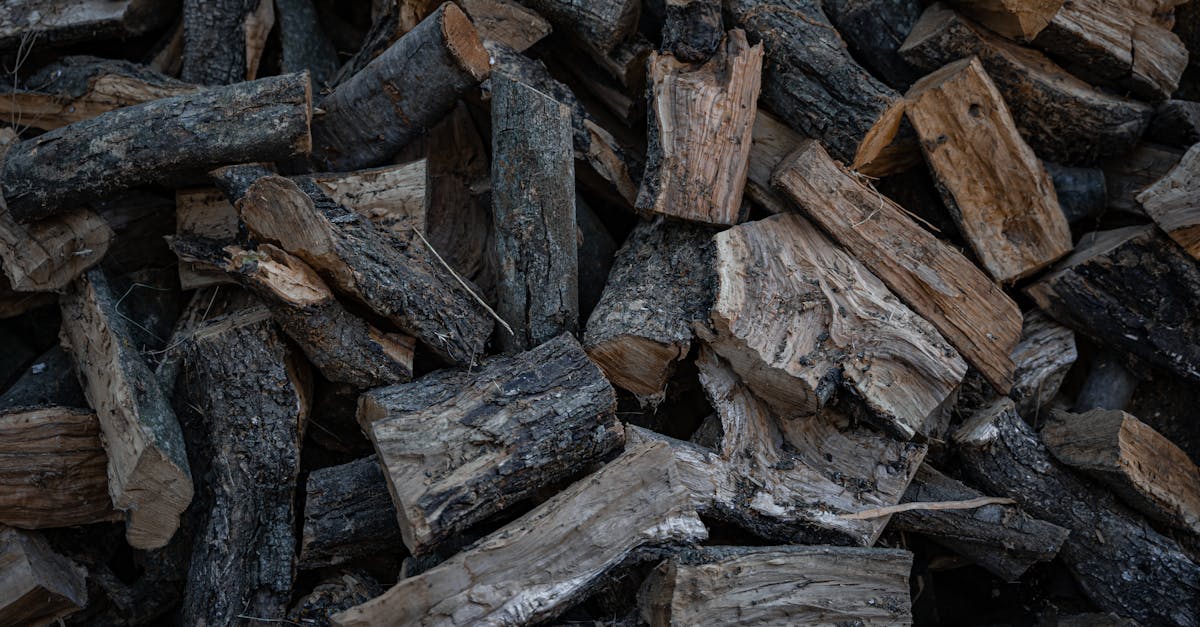 découvrez les biocarburants, une alternative durable aux combustibles fossiles. apprenez comment ils contribuent à la réduction des émissions de gaz à effet de serre et à la transition énergétique.