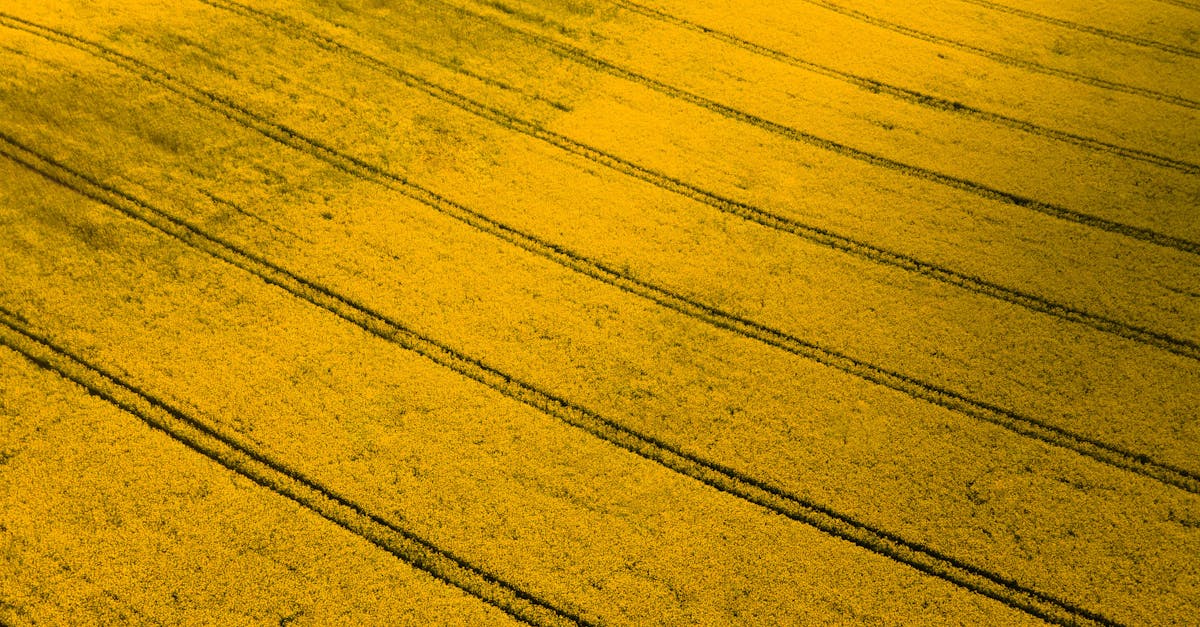 découvrez les biocarburants, une alternative écologique aux combustibles fossiles, qui contribuent à la réduction des émissions de gaz à effet de serre et favorisent le développement durable. apprenez-en plus sur leur production, leurs avantages et leur impact sur l'environnement.