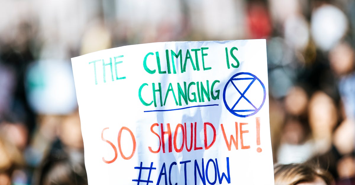 découvrez des initiatives inspirantes et des stratégies efficaces pour lutter contre le changement climatique. rejoignez le mouvement pour une action climatique durable et apprenez comment vous pouvez faire la différence.