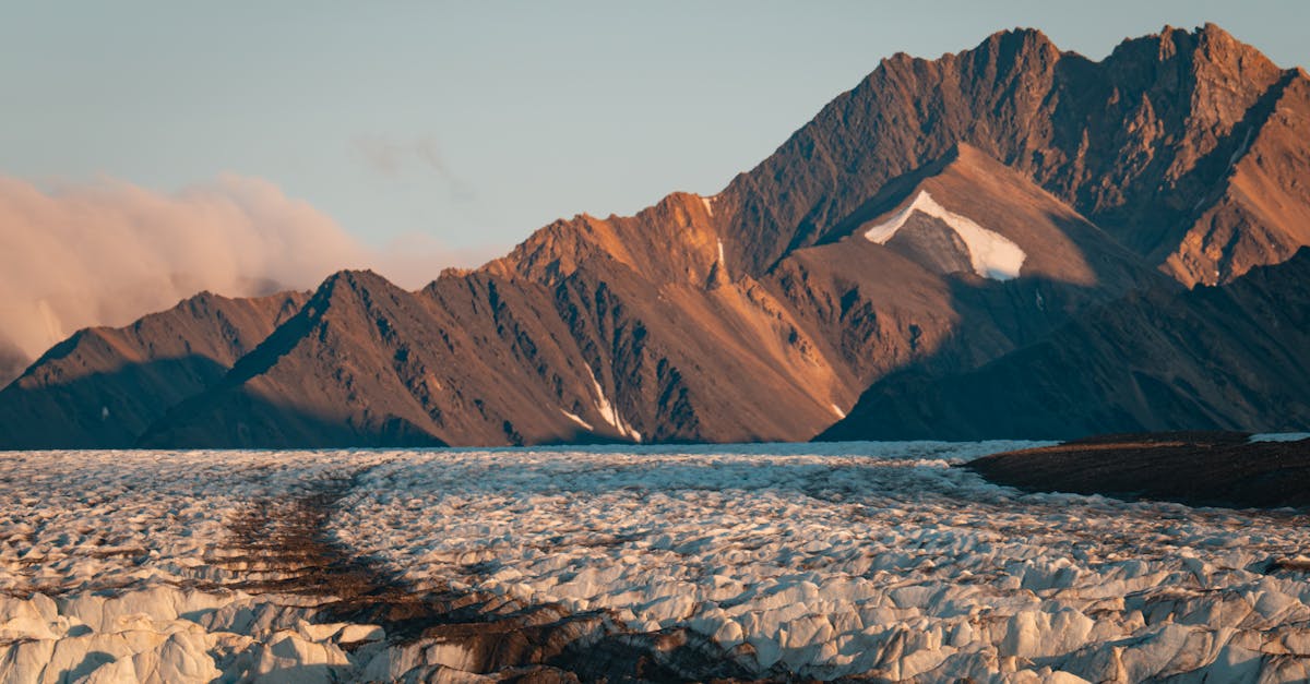 découvrez comment le financement climatique permet de soutenir des projets innovants pour lutter contre le changement climatique et protéger notre planète. rejoignez le mouvement pour un avenir durable.