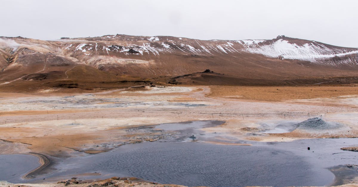 découvrez les enjeux et les défis de la neutralité climatique. apprenez comment atteindre un équilibre entre les émissions de carbone et la compensation par des solutions durables pour préserver notre planète.