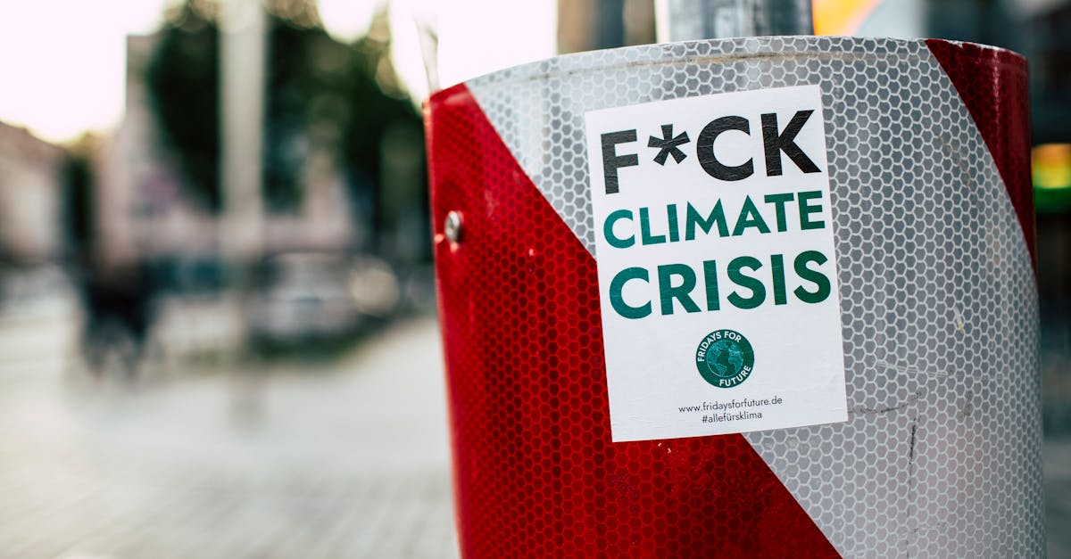 découvrez les enjeux de la protection de l'environnement, des solutions durables, et des actions que chacun peut entreprendre pour préserver notre planète. engagez-vous pour un avenir plus vert et responsables.