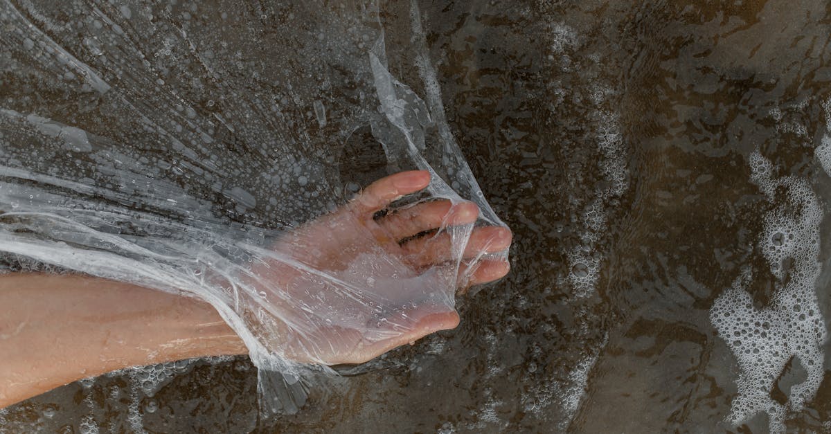 découvrez l'importance de la protection de l'environnement pour un avenir durable. apprenez des stratégies et des actions concrètes pour préserver notre planète et favoriser un écocontrôle efficace.
