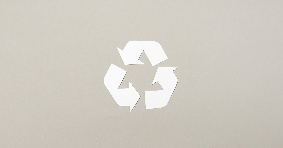 découvrez des stratégies efficaces de protection de l'environnement pour préserver notre planète. apprenez comment réduire votre empreinte écologique, promouvoir le développement durable et adopter des pratiques respectueuses de la nature.