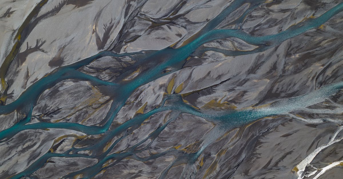 découvrez les plaines d'inondation, ces zones vitales pour la biodiversité et la gestion de l'eau, où la nature retrouve son équilibre après chaque crue. apprenez comment elles protègent les écosystèmes environnants et sont essentielles pour la prévention des inondations.