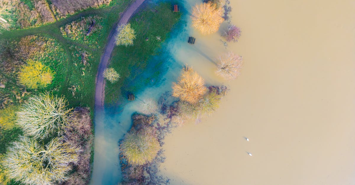découvrez l'importance des plaines inondables, écosystèmes essentiels pour la biodiversité et la régulation des eaux. apprenez comment elles contribuent à la résilience face aux inondations et à la préservation de l'environnement.