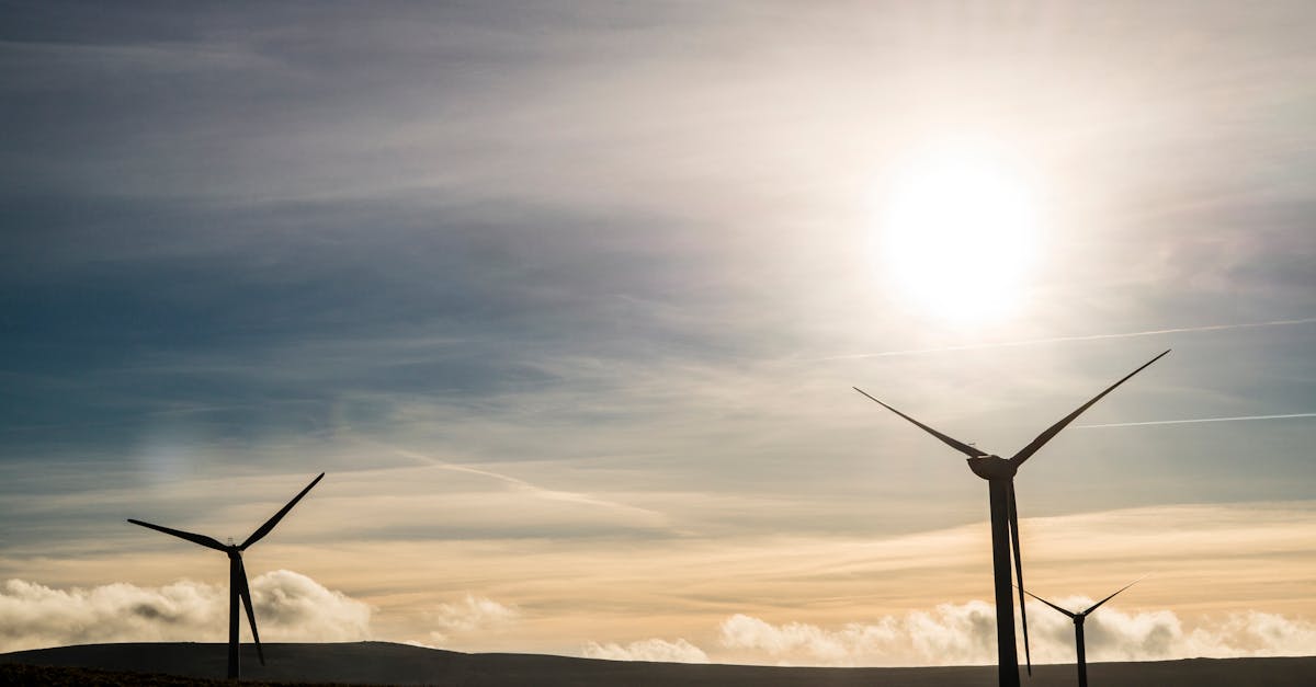 découvrez comment adopter un mode de vie durable grâce à des choix écologiques, des pratiques responsables et des solutions innovantes pour préserver notre planète.