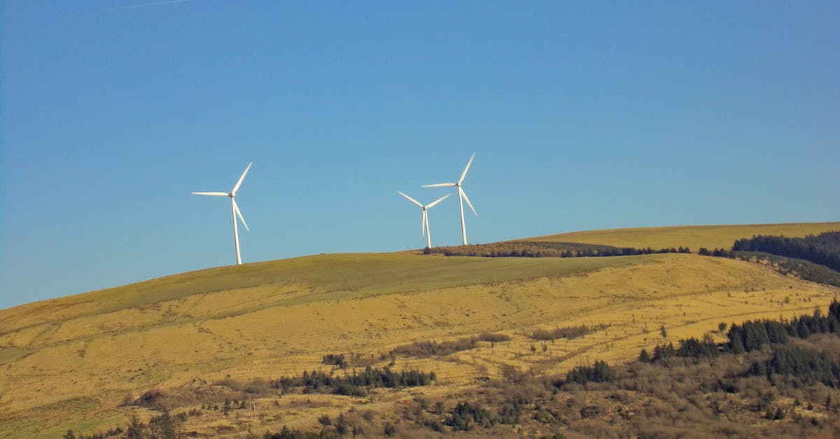 découvrez comment le développement durable contribue à un avenir plus responsable en équilibrant les besoins économiques, sociaux et environnementaux. explorez des pratiques innovantes et des solutions écologiques pour préserver notre planète tout en favorisant le bien-être des générations futures.