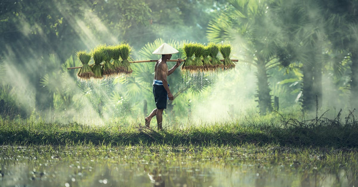 découvrez comment adopter des modes de vie durables pour respecter l'environnement tout en améliorant votre bien-être. explorez des astuces pratiques, des conseils éthiques et des inspirations pour vivre en harmonie avec la planète.