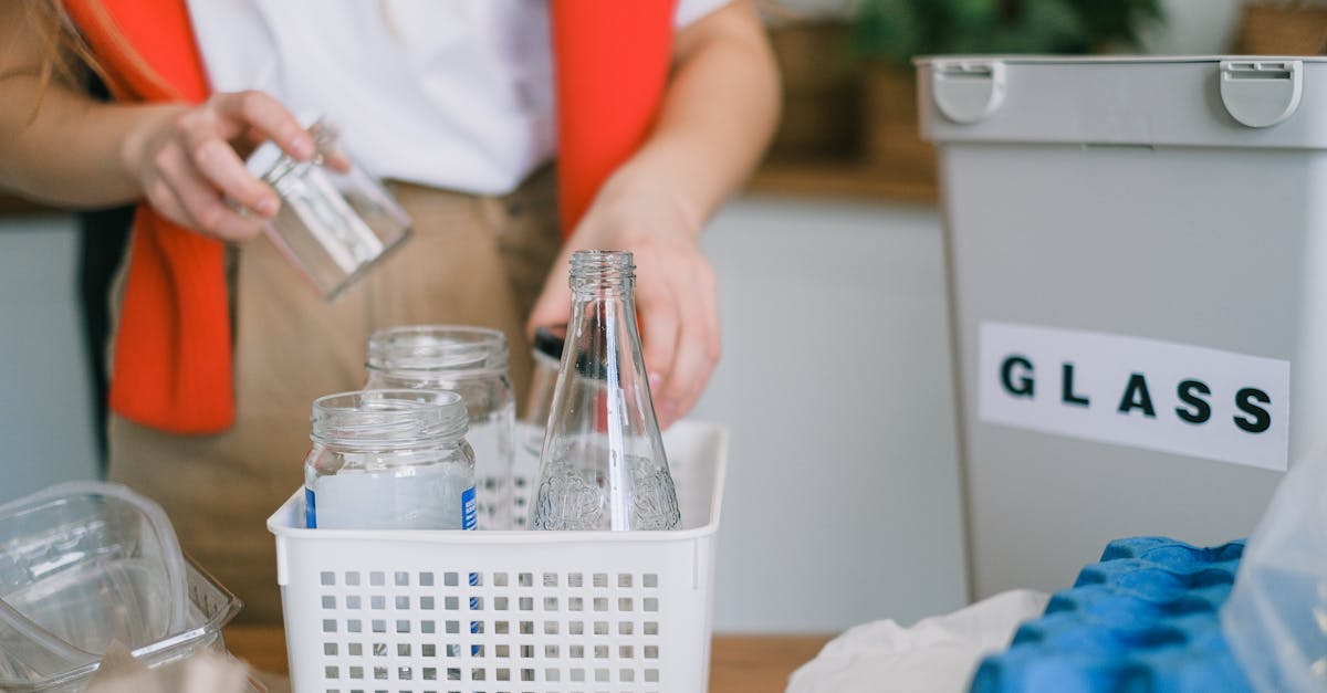 découvrez des pratiques durables pour un mode de vie éco-responsable. apprenez à réduire votre empreinte carbone, à adopter des habitudes respectueuses de l'environnement et à préserver notre planète pour les générations futures.