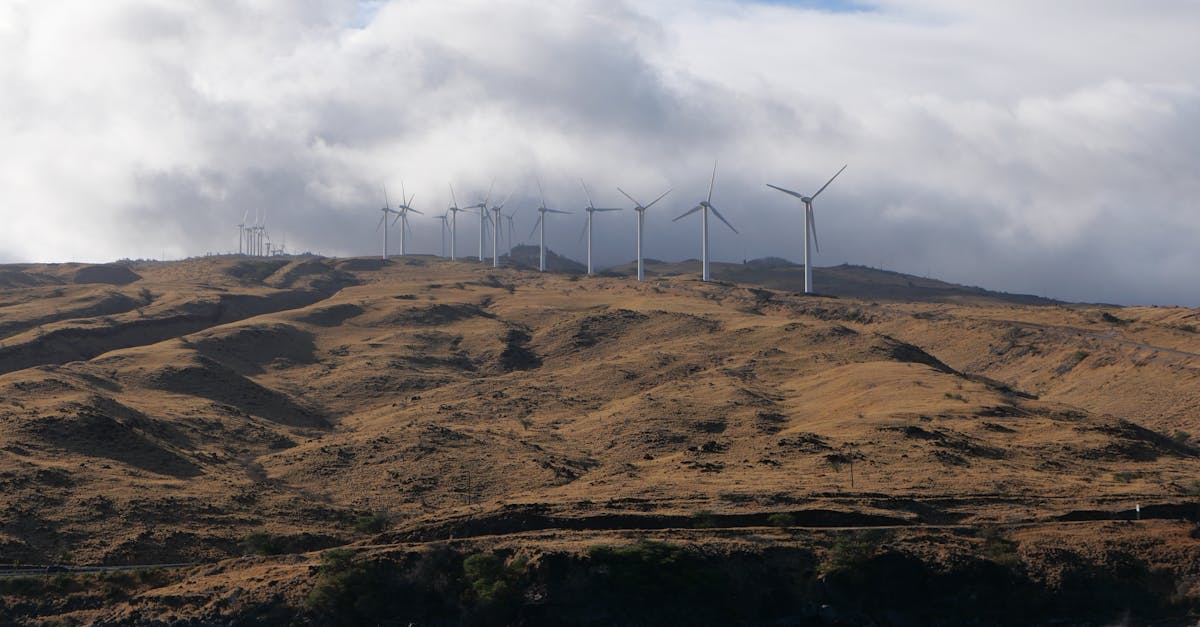 découvrez des solutions durables pour un avenir respectueux de l'environnement. explorez nos conseils et stratégies pour adopter un mode de vie éco-responsable et contribuer à la protection de notre planète.