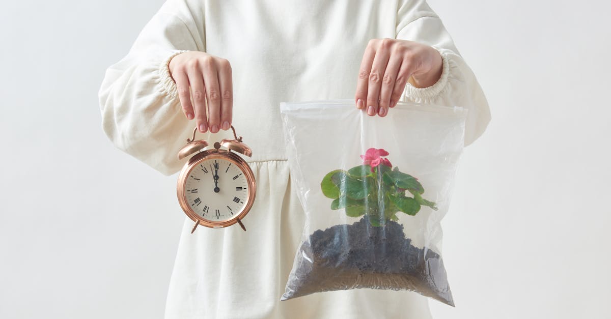 découvrez comment la transition durable peut transformer notre société en adoptant des pratiques respectueuses de l'environnement, en favorisant l'économie circulaire et en préservant les ressources pour les générations futures.