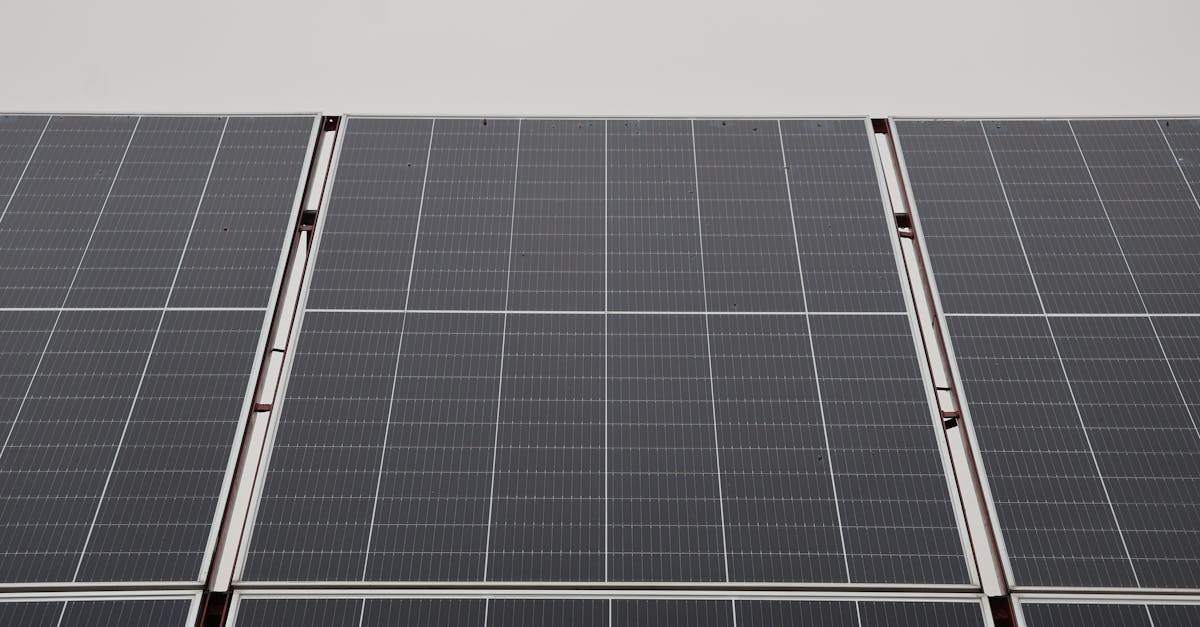 découvrez comment la transition durable transforme notre société en favorisant des pratiques écologiques et responsables. explorez des solutions innovantes pour un avenir plus vert et une empreinte carbone réduite.