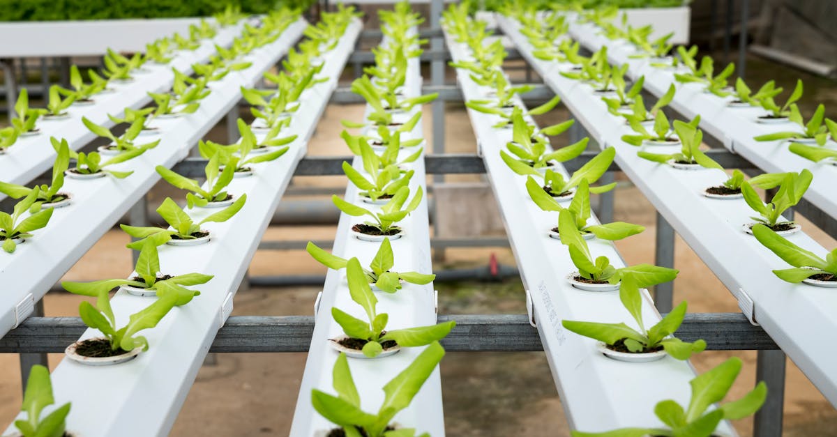 découvrez comment l'urbanité durable transforme nos villes en espaces respectueux de l'environnement, favorisant le bien-être des habitants tout en préservant les ressources pour les générations futures.
