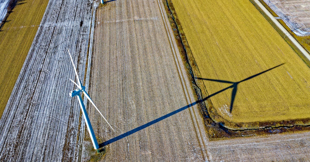 découvrez comment adopter un mode de vie durable avec des pratiques respectueuses de l'environnement, des conseils éco-responsables et des solutions pour réduire votre empreinte carbone tout en préservant la planète pour les générations futures.