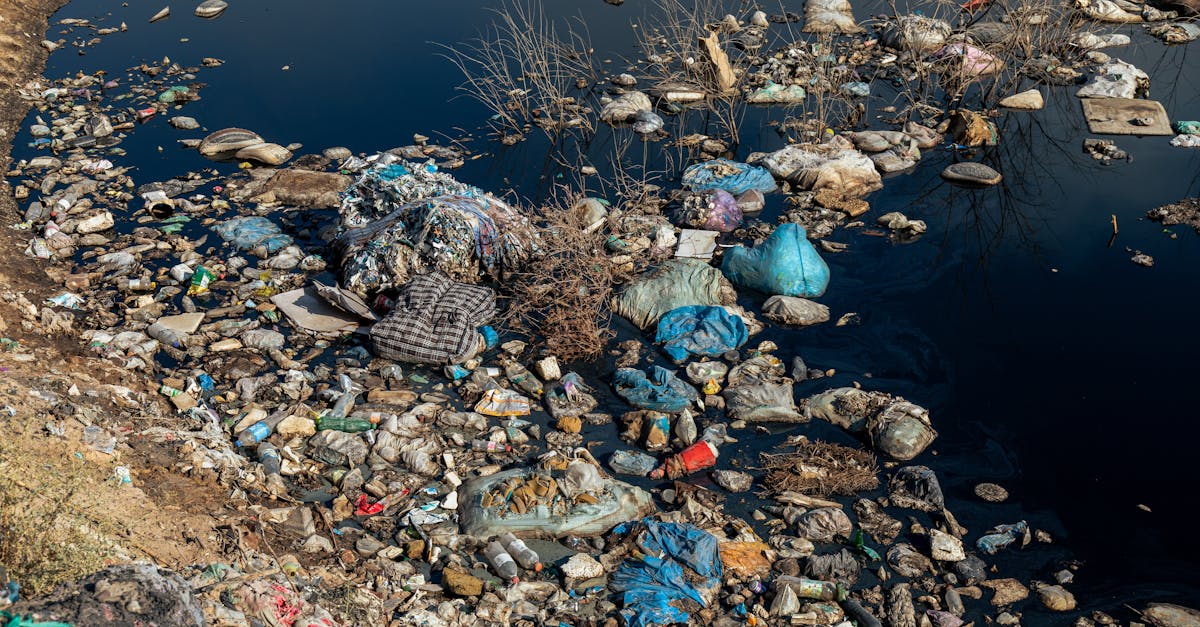 découvrez des solutions efficaces de gestion des déchets pour un environnement plus propre. apprenez comment optimiser le recyclage, réduire les déchets et adopter des pratiques durables pour un avenir responsable.