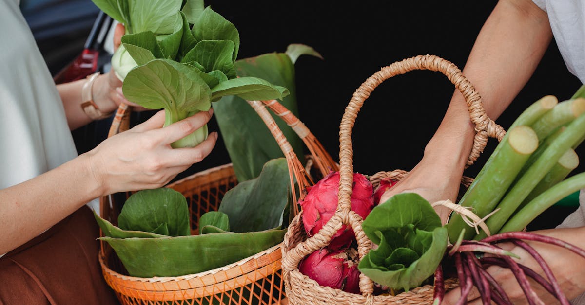 découvrez l'importance de la consommation durable et apprenez des méthodes pratiques pour réduire votre empreinte écologique tout en soutenant des pratiques éthiques et responsables. adoptez un mode de vie respectueux de l'environnement dès aujourd'hui.