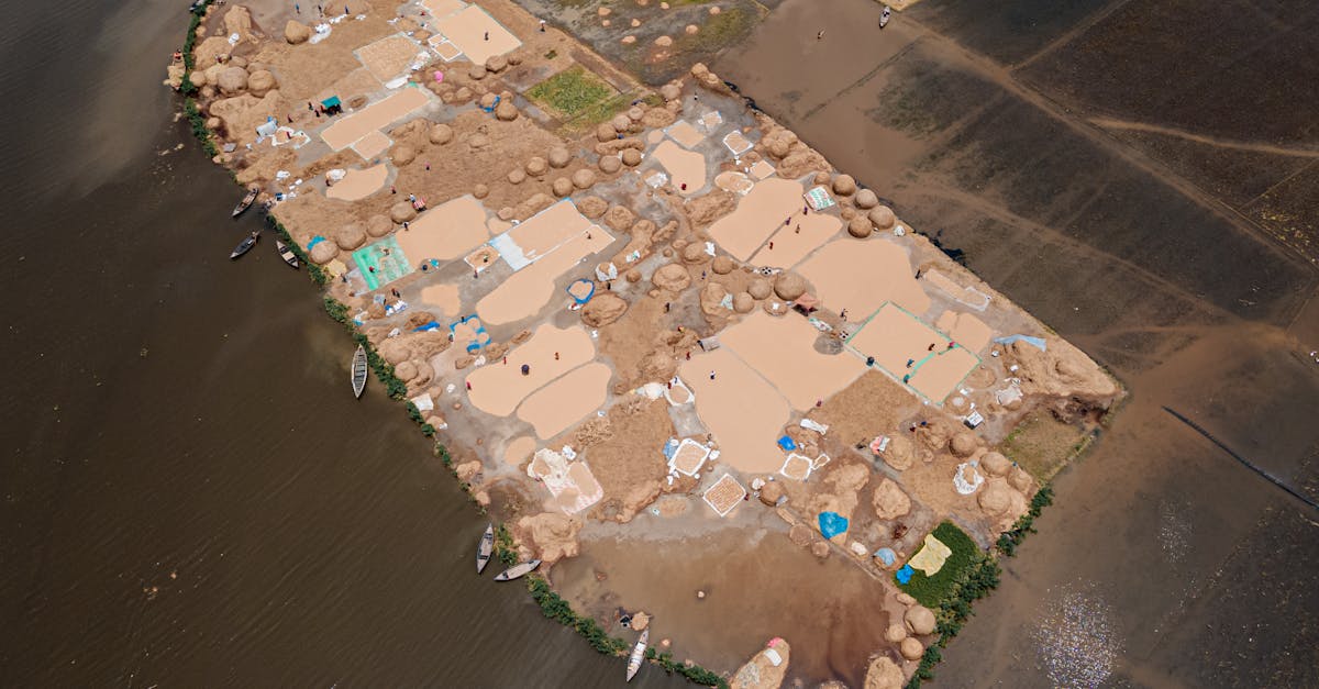 Réduction de l’impact environnemental : 5 astuces pour un mode de vie plus durable