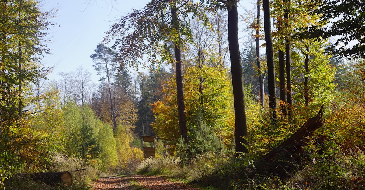 découvrez les opportunités écologiques qui peuvent transformer votre entreprise et favoriser un avenir durable. explorez des solutions innovantes et des initiatives vertes pour un impact positif sur l'environnement.