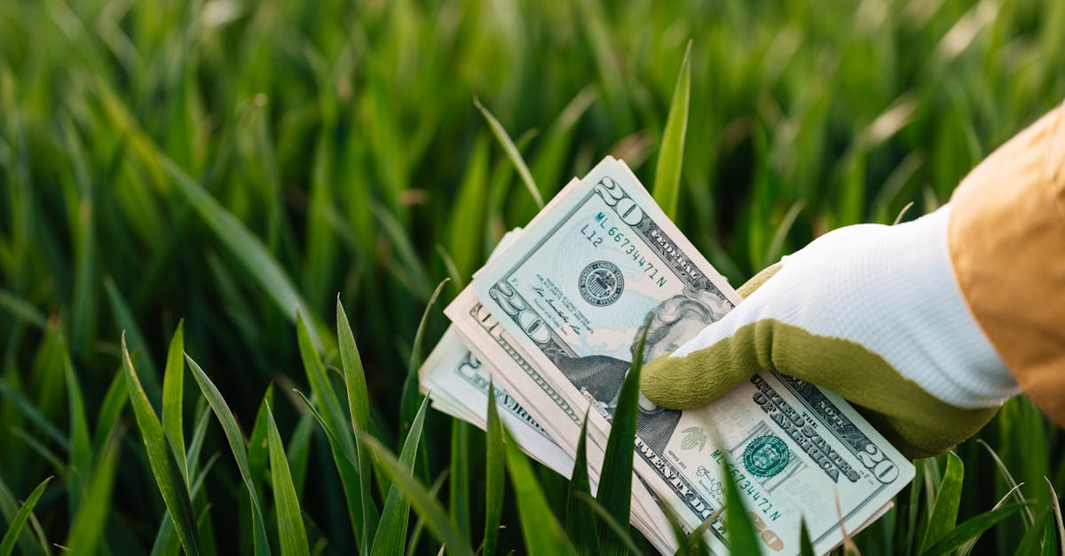 découvrez les enjeux et les avantages de l'investissement durable, une approche financière responsable qui allie performance économique et respect de l'environnement. apprenez comment investir tout en contribuant à un avenir meilleur.