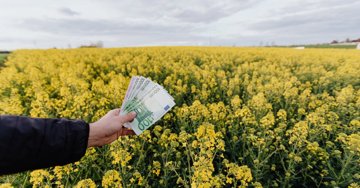 découvrez l'univers de l'investissement durable : des stratégies financières qui allient rentabilité et respect de l'environnement. investissez intelligemment pour un avenir meilleur.
