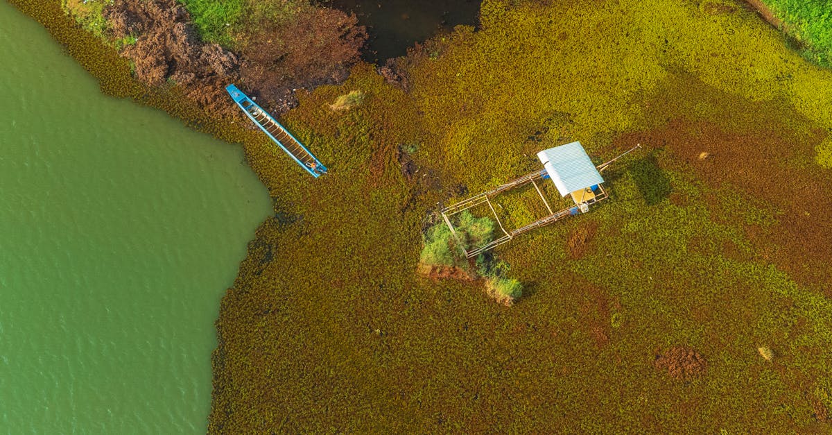 découvrez comment adopter un mode de vie durable avec des conseils pratiques et des astuces pour réduire votre empreinte écologique, choisir des produits respectueux de l'environnement et promouvoir un avenir plus vert.