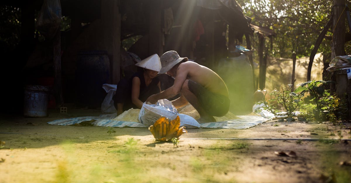 découvrez comment établir des partenariats durables qui favorisent la croissance responsable et respectent l'environnement. apprenez les meilleures pratiques pour collaborer de manière éthique et efficace tout en maximisant l'impact social.