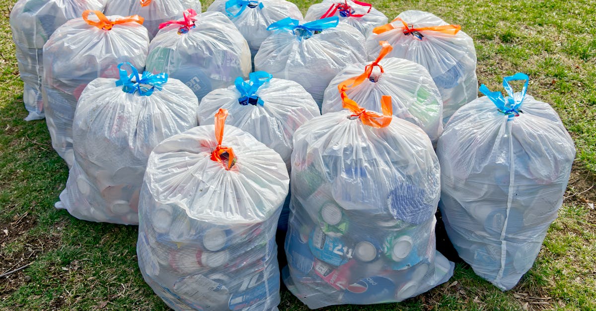 découvrez l'importance de la séparation des déchets pour un environnement plus propre et durable. apprenez des méthodes simples et efficaces pour trier vos déchets à la maison et contribuer à la protection de notre planète.