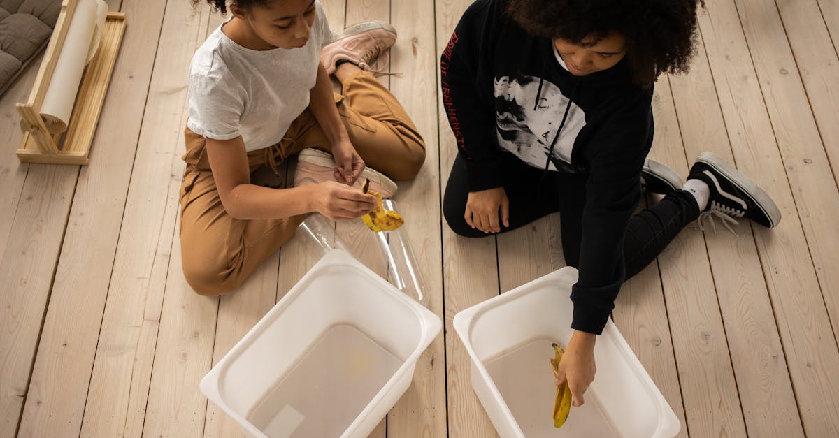 découvrez l'importance de la séparation des déchets pour une meilleure gestion des ressources et un environnement plus sain. apprenez les techniques efficaces pour trier vos déchets et réduire votre empreinte écologique.
