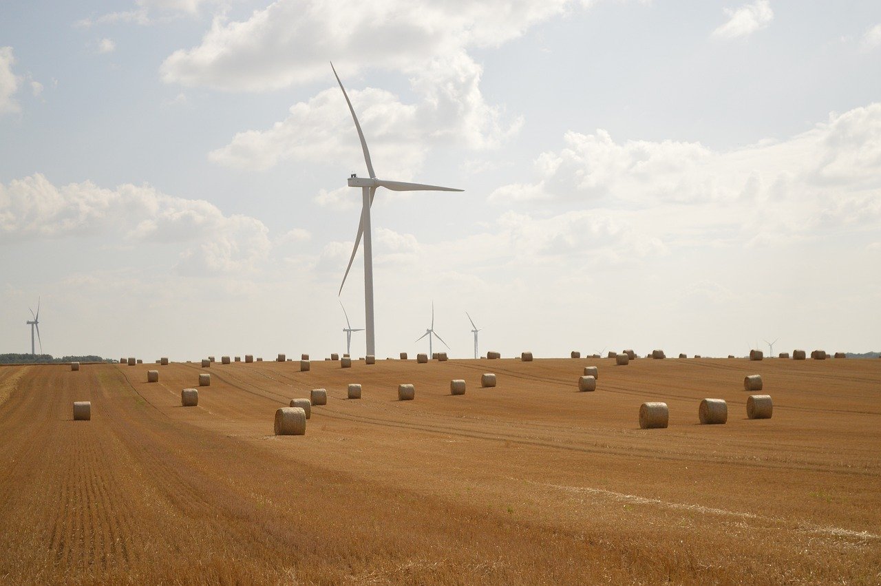 découvrez comment adopter un mode de vie durable avec des conseils pratiques, des astuces écoresponsables et des solutions innovantes pour préserver l'environnement au quotidien.