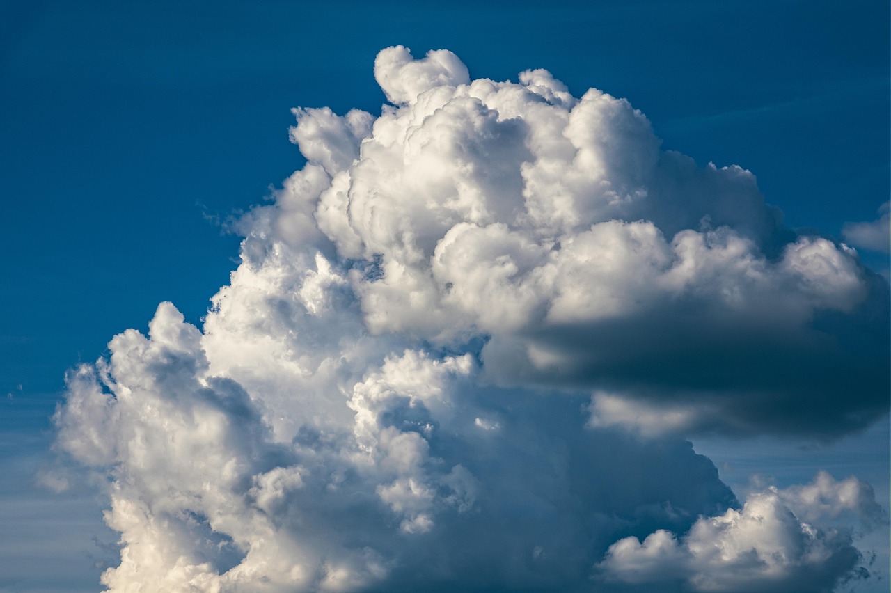 découvrez comment renforcer votre résilience face au changement climatique grâce à des stratégies innovantes et des solutions durables pour protéger les communautés et l’environnement.