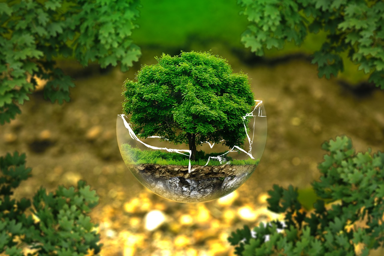 découvrez les effets et enjeux de l'impact écologique sur l'environnement, les solutions durables et les actions à adopter pour préserver la planète au quotidien.