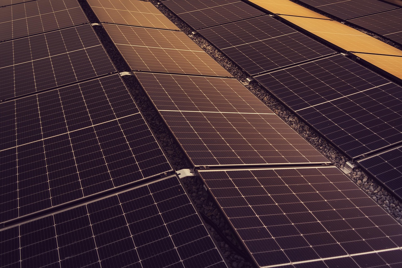 découvrez comment adopter des pratiques durables pour préserver l’environnement et favoriser un avenir responsable. conseils, actualités et solutions autour de la sustainability au quotidien.