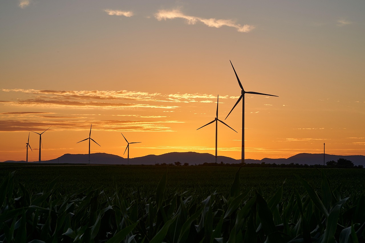 découvrez comment adopter un mode de vie durable et responsable grâce à des conseils pratiques et des solutions innovantes pour préserver l’environnement au quotidien.