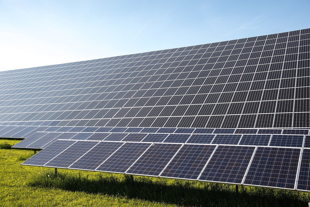 découvrez comment la green transition transforme les entreprises et les modes de vie grâce à des pratiques éco-responsables, des énergies renouvelables et des solutions durables pour un avenir respectueux de l'environnement.