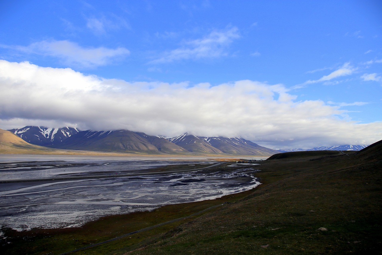 découvrez ce qu'est le permafrost, ses caractéristiques, son rôle dans l'écosystème et les enjeux liés à sa fonte à cause du changement climatique.