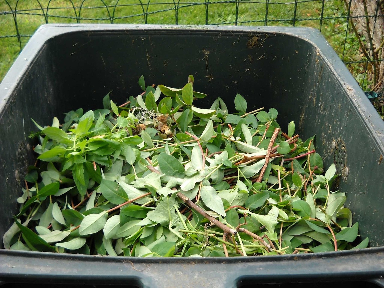 découvrez tout sur le recyclage : méthodes, avantages écologiques et conseils pratiques pour réduire votre impact environnemental et adopter un mode de vie plus durable.