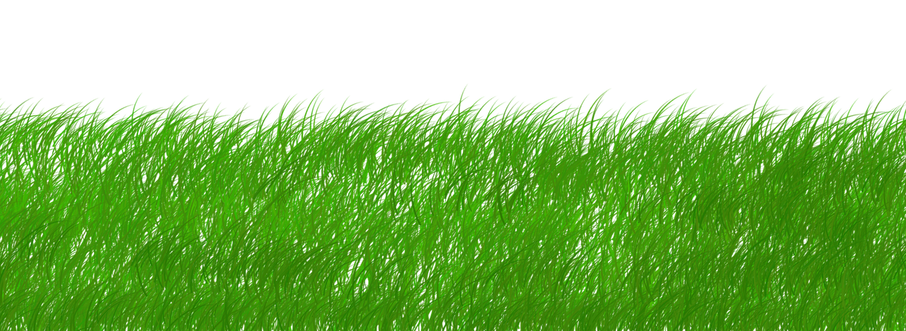 découvrez comment la durabilité façonne l’avenir en adoptant des pratiques respectueuses de l’environnement, des solutions innovantes et des modes de vie responsables pour préserver notre planète.