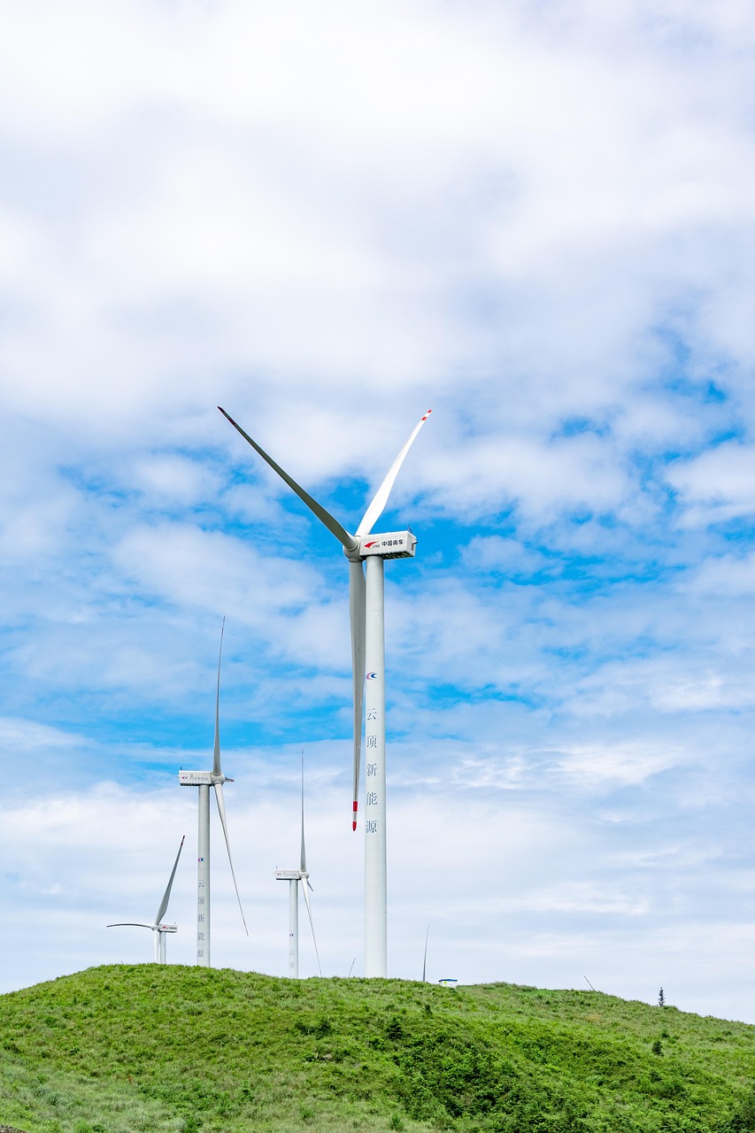 découvrez comment le développement durable favorise la protection de l’environnement, la croissance économique et l’équité sociale. apprenez les principes, enjeux et solutions pour un avenir responsable.