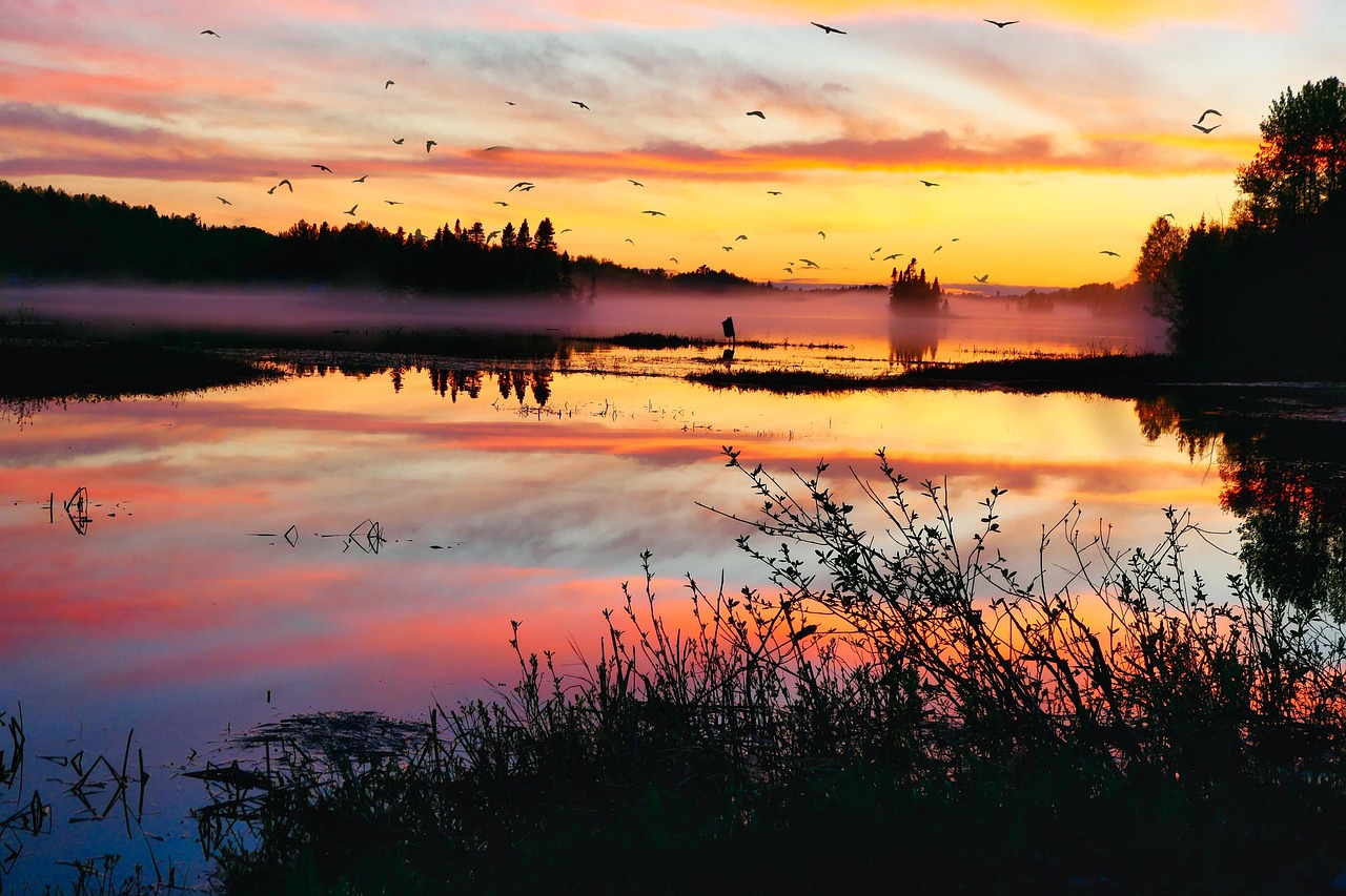 découvrez notre plan climat détaillé pour réduire les émissions de gaz à effet de serre et promouvoir un avenir durable.