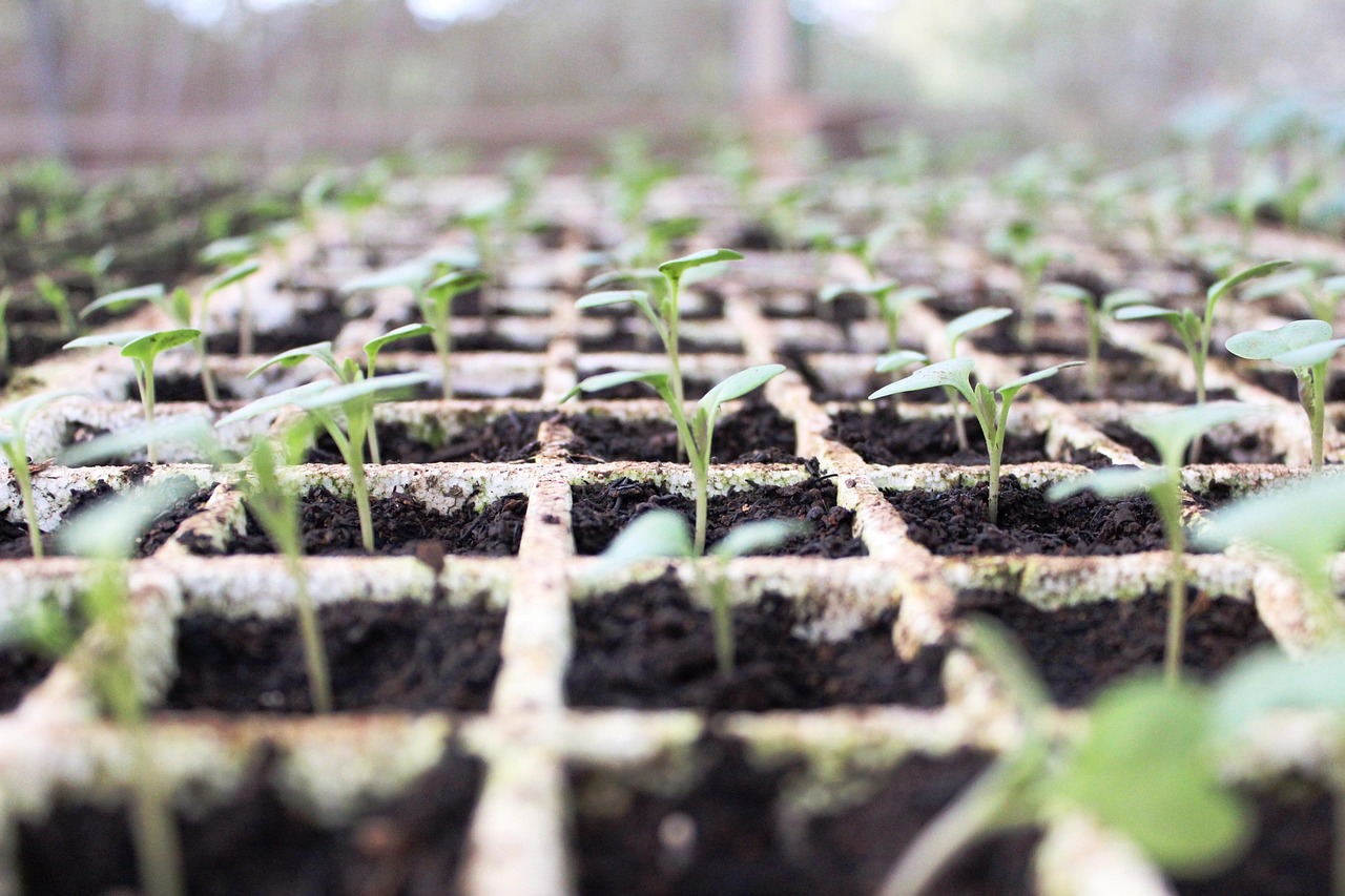 Changements climatiques : quelles sont les cons&eacute;quences sur notre sant&eacute; ?