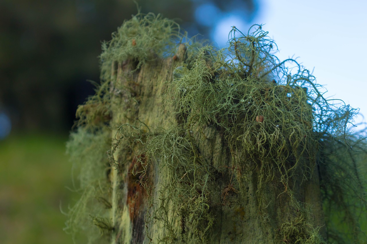 Comment sensibiliser son entourage aux enjeux environnementaux ?