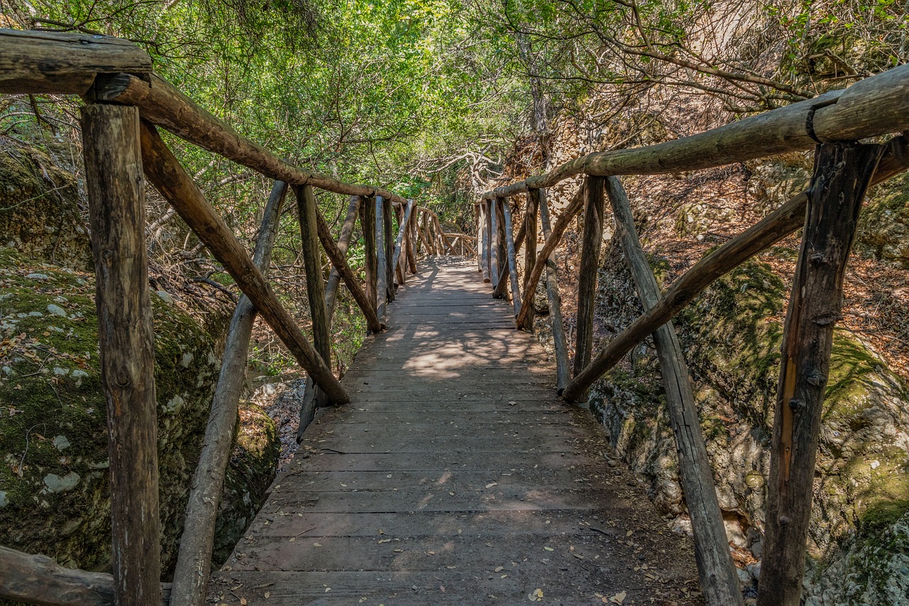 d&eacute;couvrez les strat&eacute;gies et les solutions innovantes pour une transition bas carbone r&eacute;ussie, afin de r&eacute;duire l'empreinte &eacute;cologique et lutter contre le changement climatique.