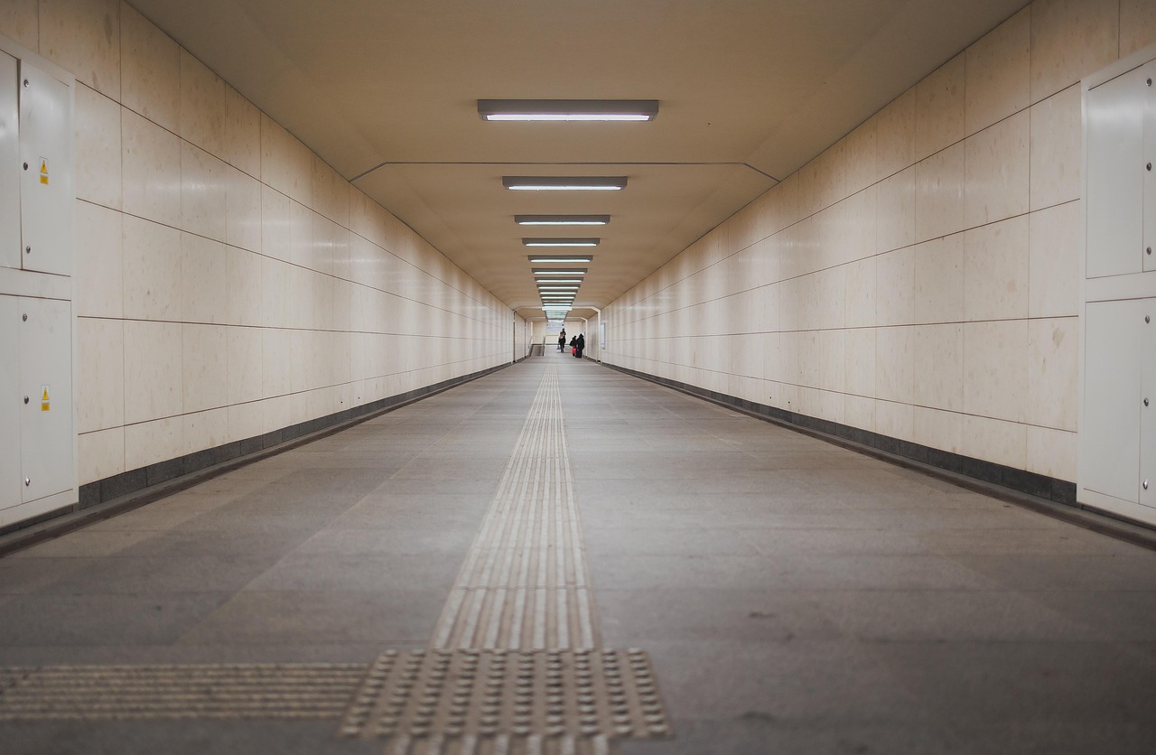 d&eacute;couvrez les strat&eacute;gies et innovations pour une transition bas carbone efficace, favorisant un avenir durable et la r&eacute;duction des &eacute;missions de gaz &agrave; effet de serre.