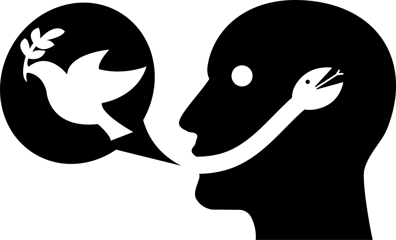 Leonardo DiCaprio : entre accusations d&rsquo;hypocrisie et critiques sur son engagement &eacute;cologique