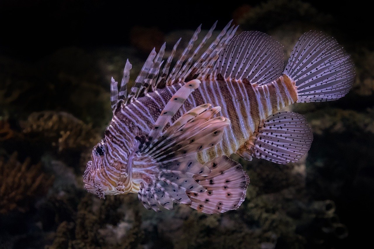 d&eacute;couvrez l'importance de la biodiversit&eacute;, un &eacute;quilibre fragile qui soutient la vie sur terre en prot&eacute;geant les &eacute;cosyst&egrave;mes et la richesse des esp&egrave;ces.