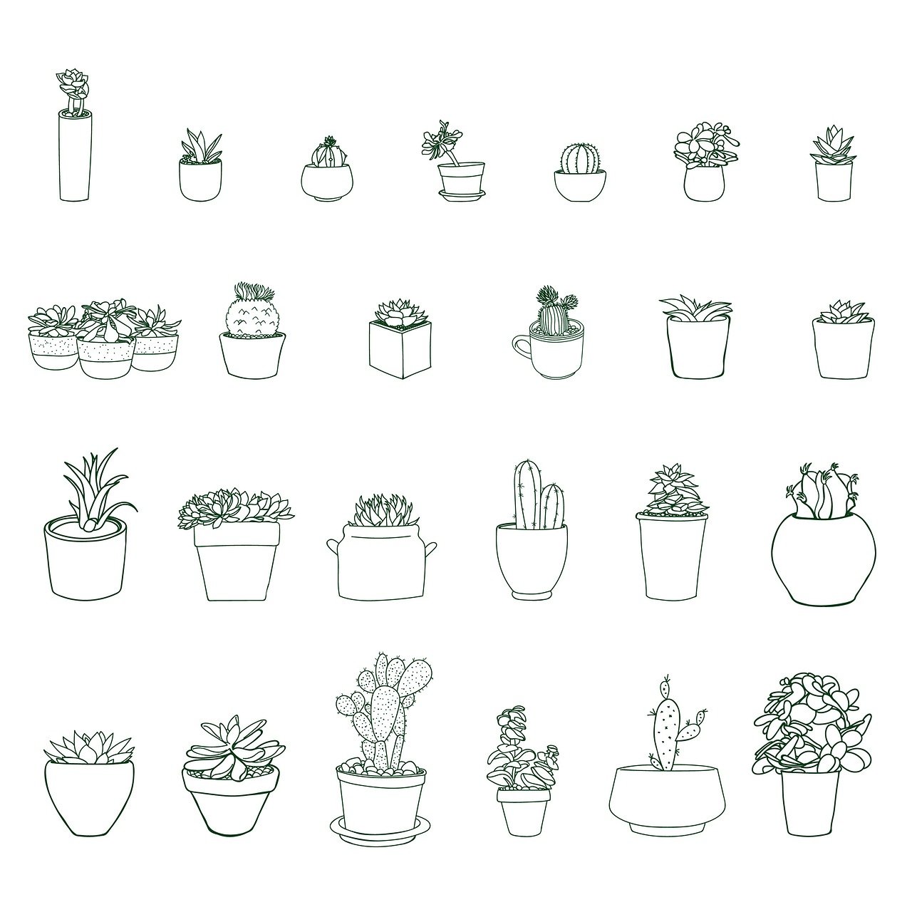 découvrez notre sélection de plantes faciles d'entretien, idéales pour apporter de la verdure sans effort dans votre maison ou bureau.