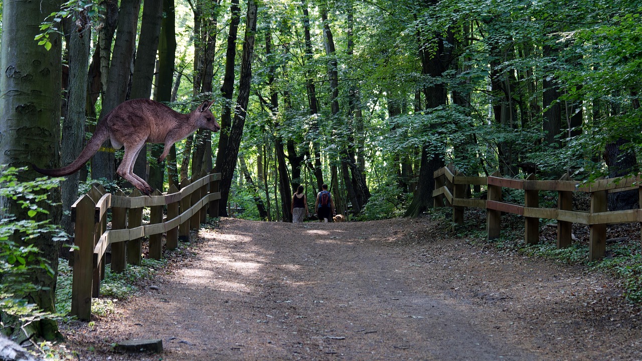 d&eacute;couvrez les pratiques de l'&eacute;dition durable pour r&eacute;duire l'impact environnemental tout en promouvant une production responsable et &eacute;thique dans le secteur de l'&eacute;dition.