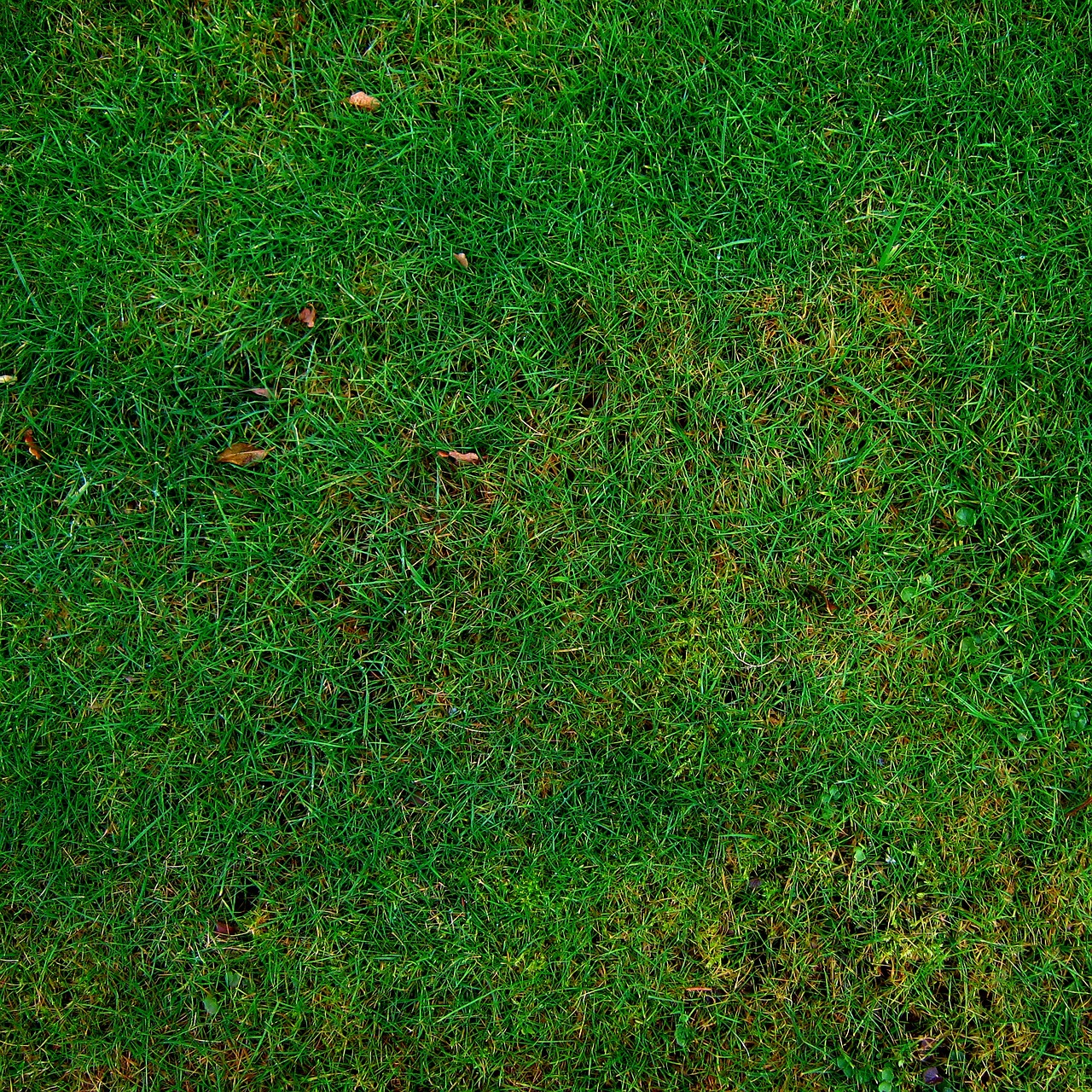 isolation thermique &eacute;cologique : solutions durables et respectueuses de l'environnement pour optimiser le confort thermique de votre habitation tout en r&eacute;duisant votre impact carbone.